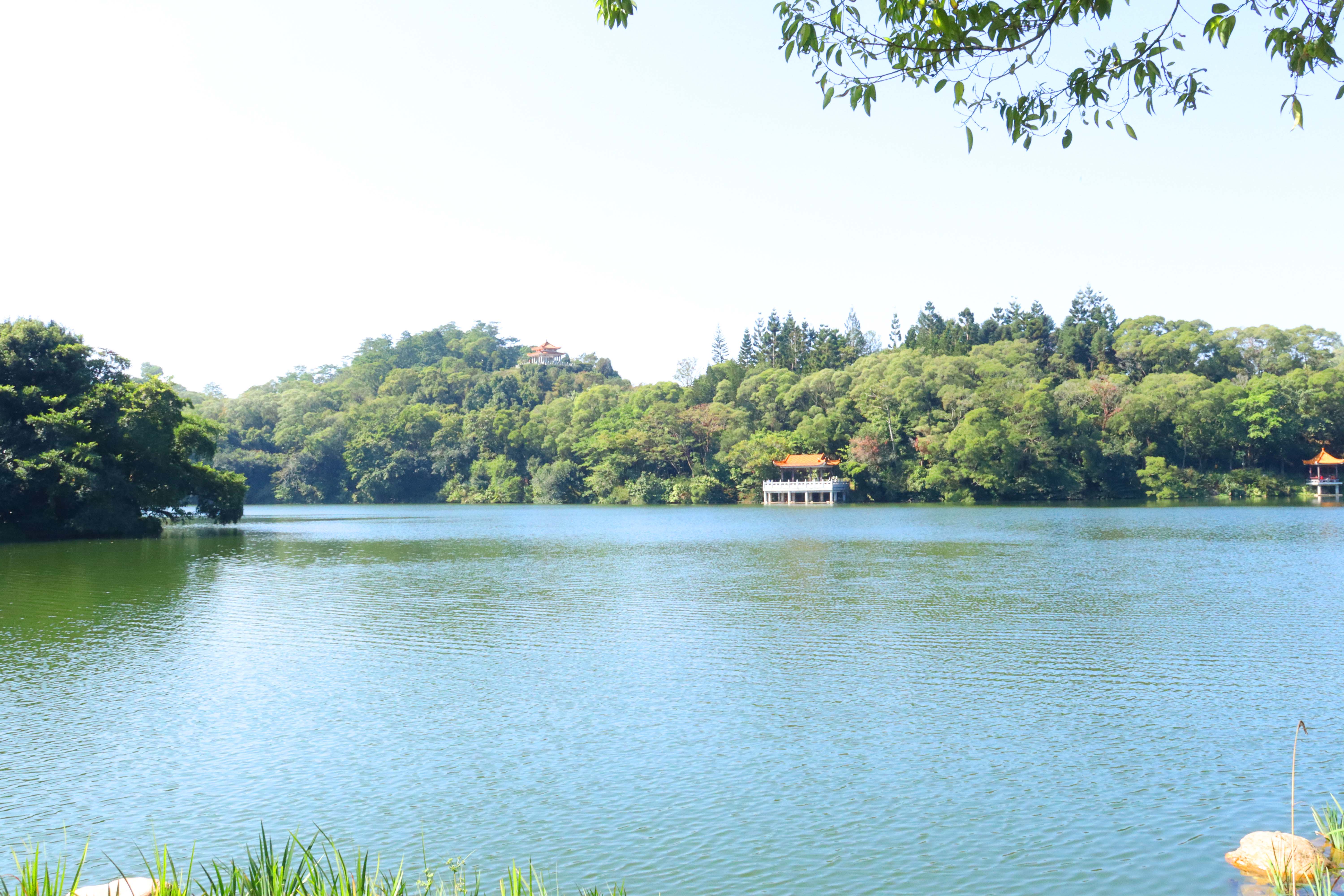 植物園3.jpg 植物園3.jpg