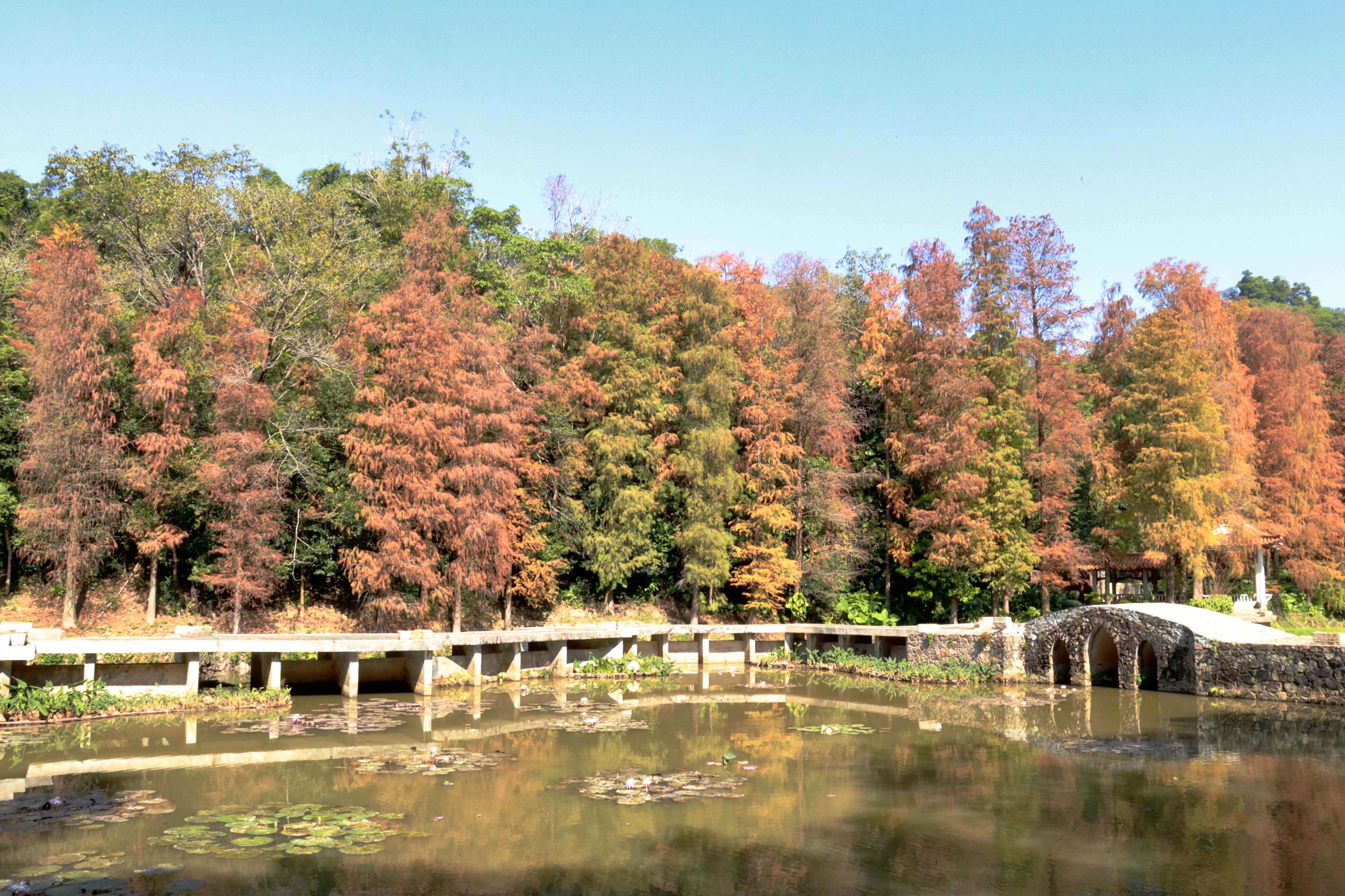 植物園5.jpg 植物園5.jpg